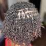 Starter Micro locs (Twist)