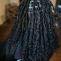 Starter Locs