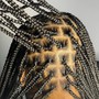 Small Box Braids