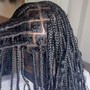 Small Box Braids