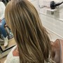 Root Touch Up