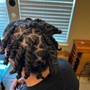 Starter Locs