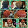 Color Root Touch Up