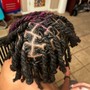 Starter Locs