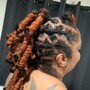 Braids w/crochet in the back