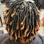 Starter Dreadlocks