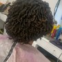 Root Touch Up