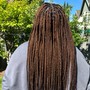 Box Braids