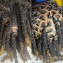 Starter Locs