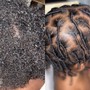 Starter Locs