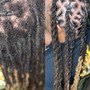 Starter Locs