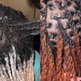 Starter Locs