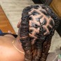 Adult Wash , Retwist & Style