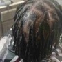 Starter locs