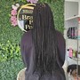 Individual box Braids