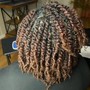 Starter Loc Retwist + 1st & 2nd Loc wash