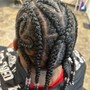 Feed-in’s Braids (9–14)