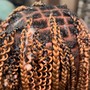 2 Strand Twist (no hair)