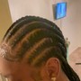 Sleek braided ponytail