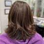 Partial highlights, cabello medio