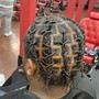 Two strand twist starter locs