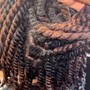 Two Strand Twist (One on One) Hands-On