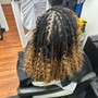 Root Touch Up