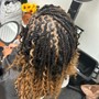 Root Touch Up