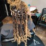 Root Touch Up