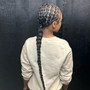 Sleek Braided Ponytail