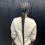 Sleek Braided Ponytail