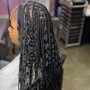 Individual Braids ( Bohemian or Knotless )