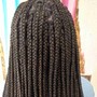 Individual Braids