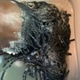 Loc Maintenance/Retwist (bra strap to waist length)