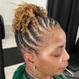 Root Touch Up