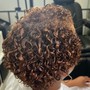 Root Touch Up