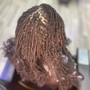 Root Touch Up