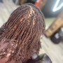 Root Touch Up