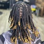 Root Touch Up