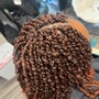 Basic Re-twist