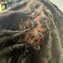 Starter locs