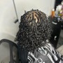 Senegalese Twist (low back) mid back length