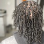 Starter Locs 2strand method