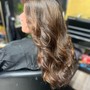 Partial balayage/ foiliage/highlight