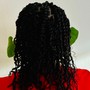 Natural Twists