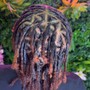 Large Starter Locs Half head