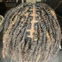 Dye + Retwist