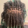 Initial/Starter Dreadlocks