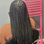 Feed in braids