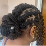 Sisterlocs Starter